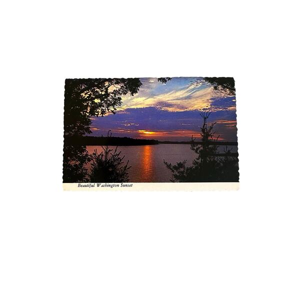 Lot of 5 Vintage Scenery Nature Scalloped Edges Postcards - Picture 11 of 12